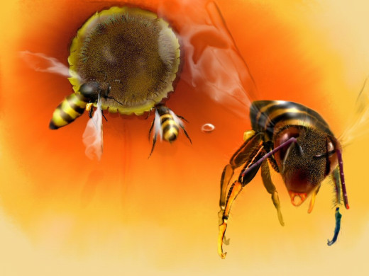 �8738 �������(a): ����������:1280x960